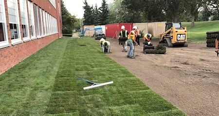 Commercial Landscaping- Sodding