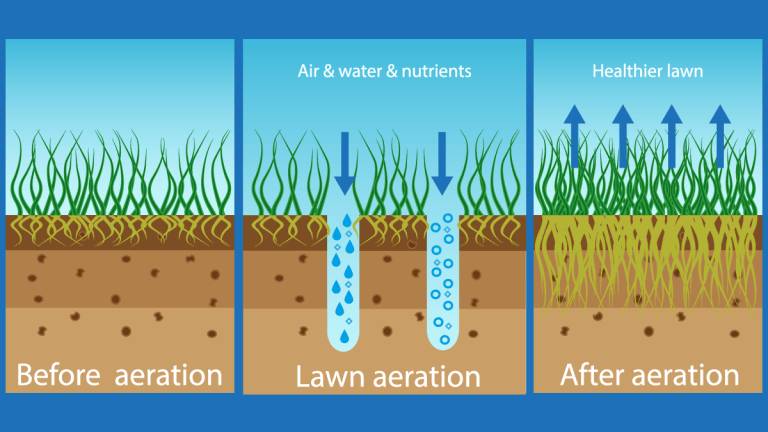 Lawn Aeration Diagram