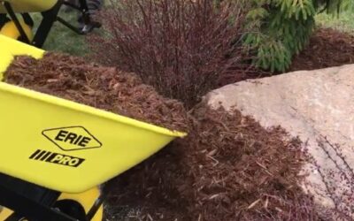 The Benefits of Mulch in Your Garden Beds