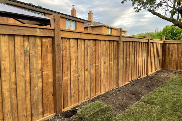 Pressure treated wooden fence in backyard
